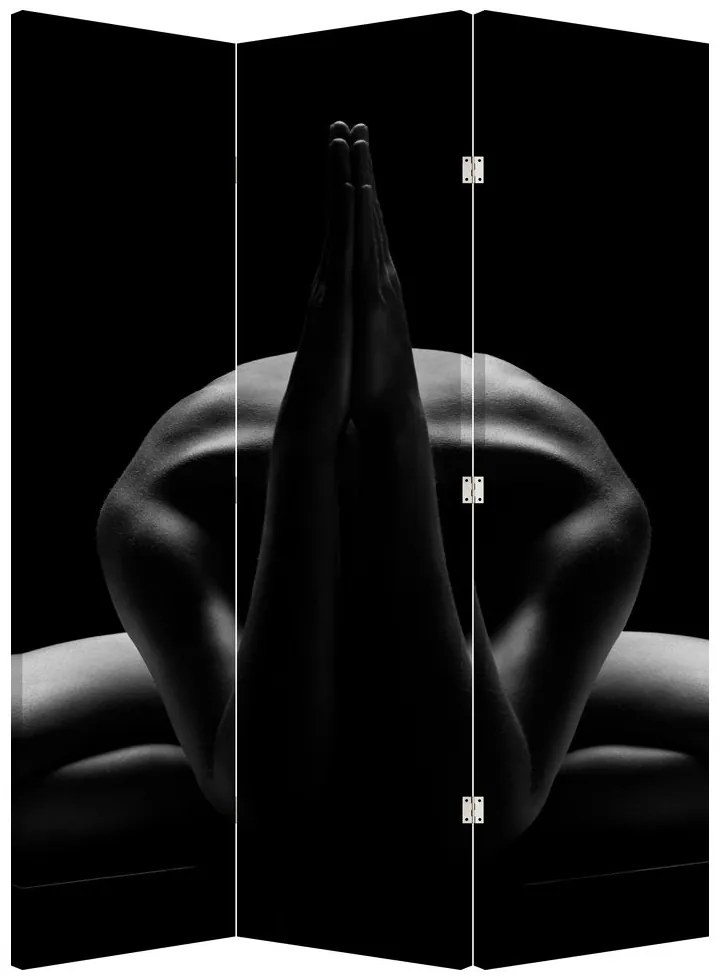 Paravan - Nud feminin (126x170 cm)