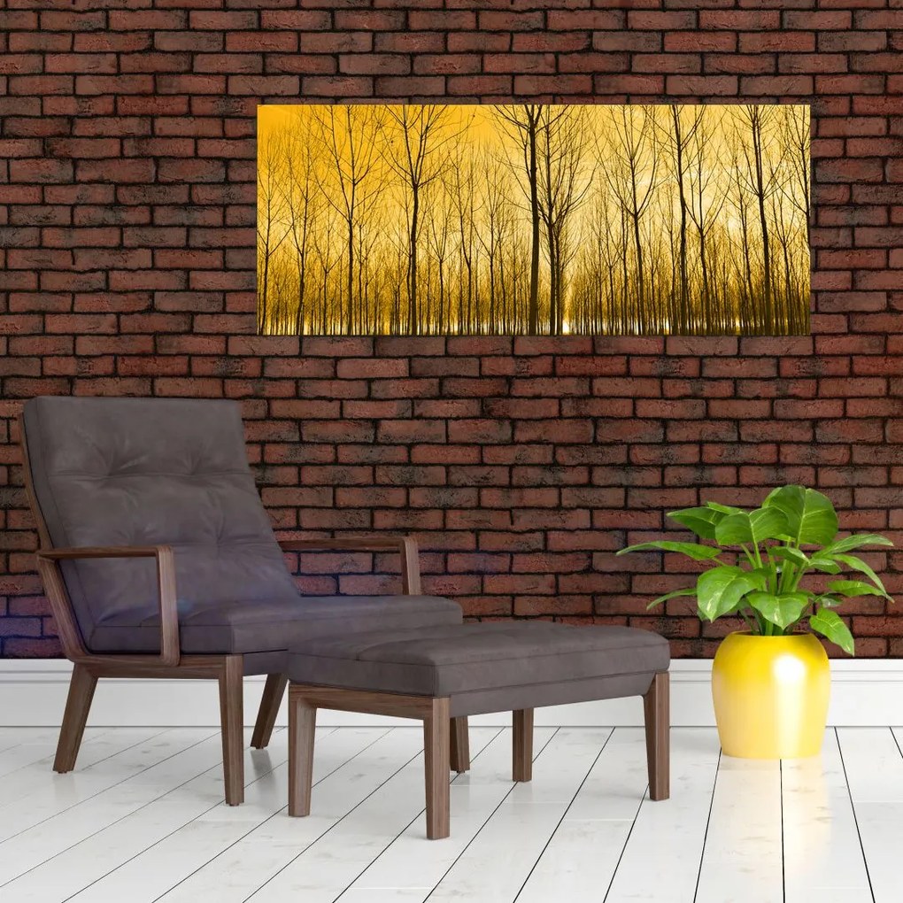 Tablou cu pădure în apus de soare (120x50 cm)