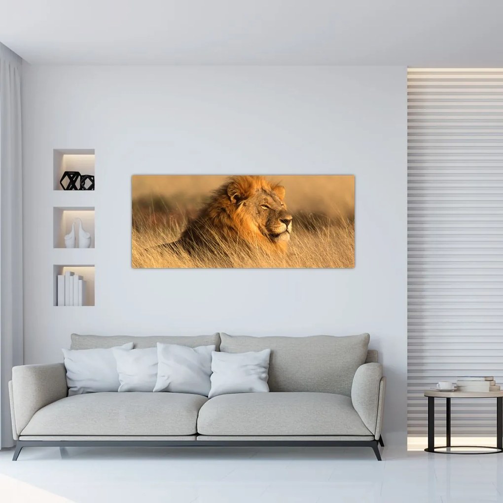 Tablou - Parcul Național Etosha (120x50 cm)
