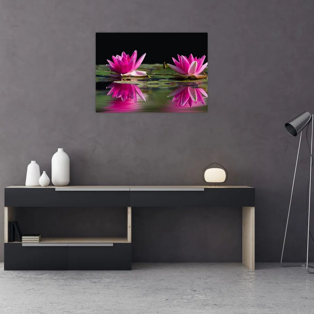 Tablou - Nuferi pe apă (70x50 cm)