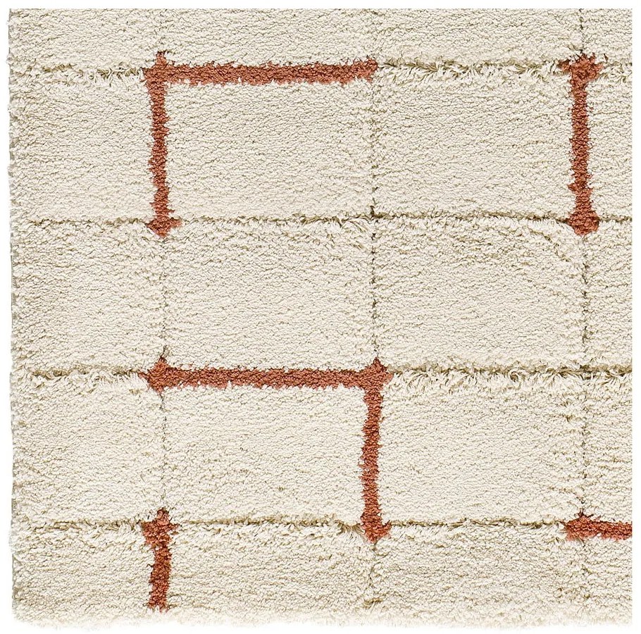 Covor cărămiziu-crem 200x290 cm Brenda – Universal