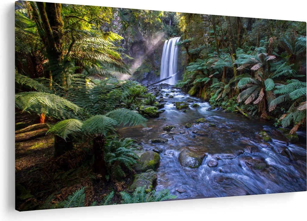 Tablou cu pădurea ploilor din Austalia (90x60 cm)