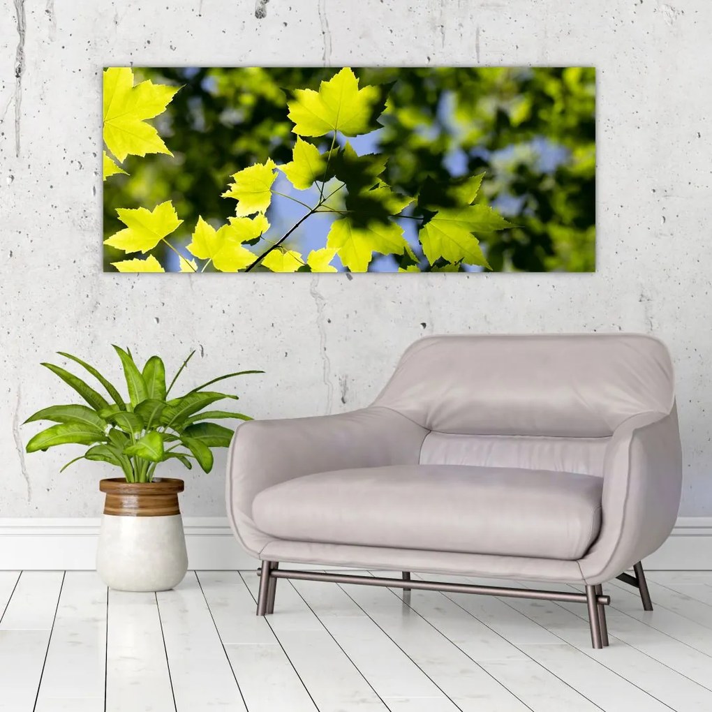 Tablou - frunze de arțar (120x50 cm)