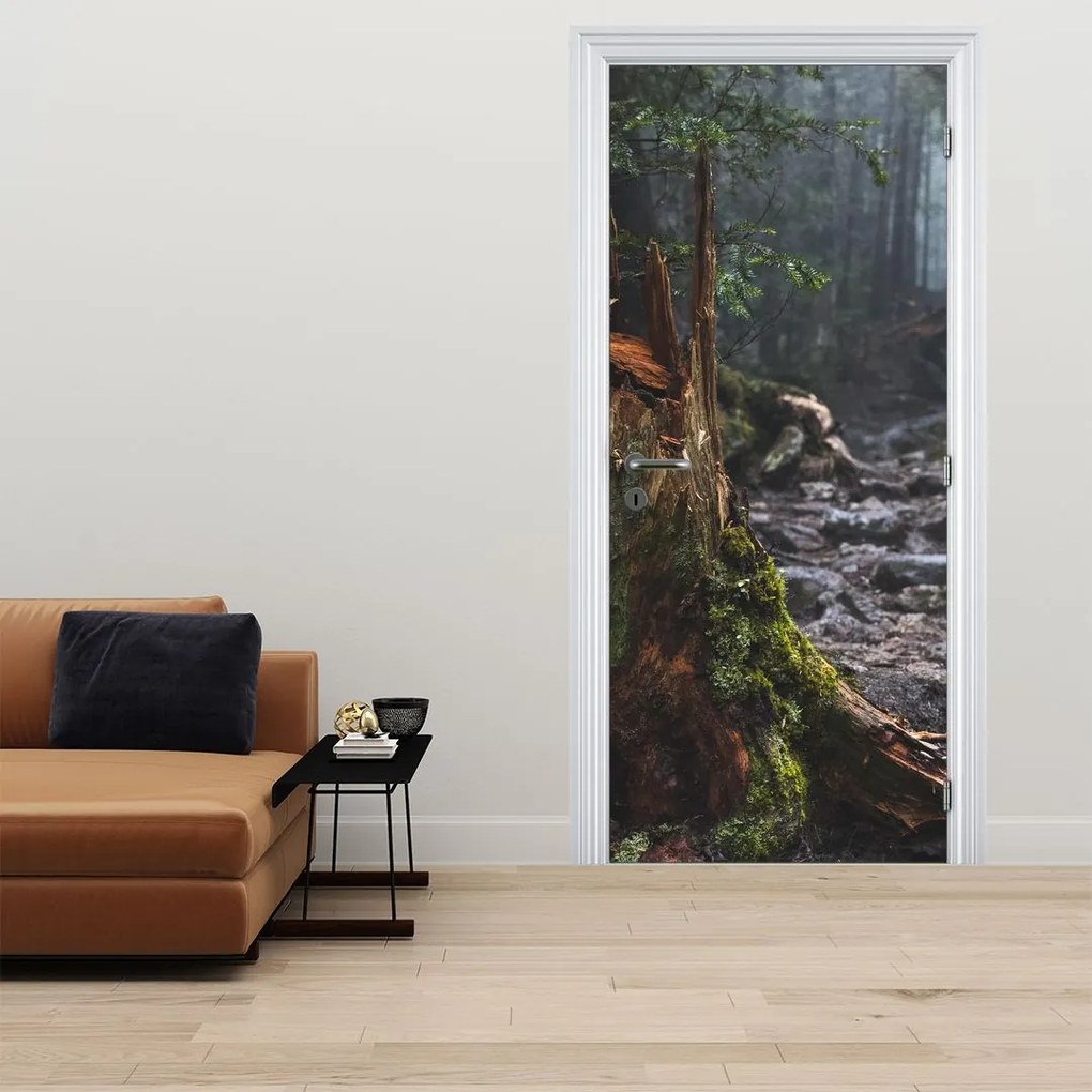 Fototapet pentru ușă - În pădure (95x205cm)