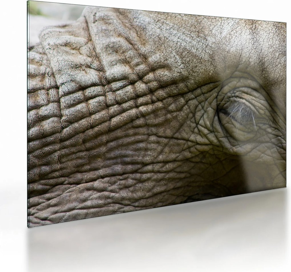 Tablou pe sticlă - Prim-planul ochiului de elefant vechi (70x50 cm)