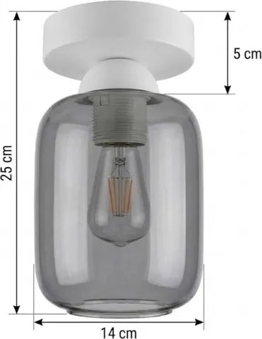 BRILAGI - Lampă LED de tavan R GLASS 1xE27/60W/230V Ø 14 cm alb/gri fumuriu