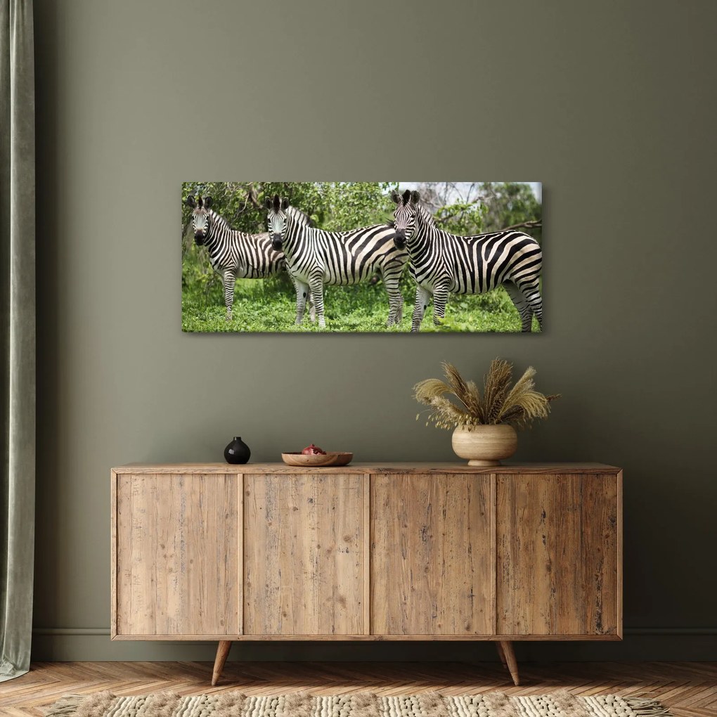 Tablou cu zebre (120x50 cm)
