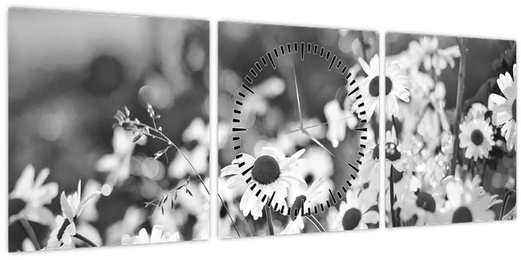 Tablou - Margarete (cu ceas) (90x30 cm)