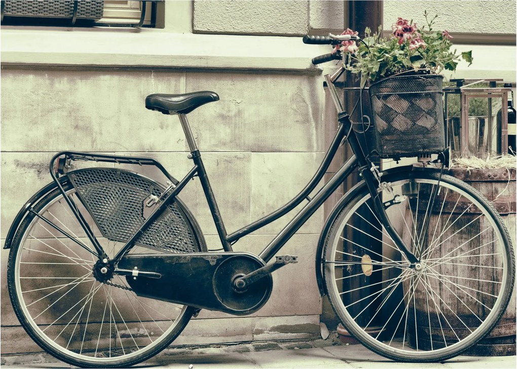 Tablou - Bicicleta de epocă cu flori (70x50 cm)