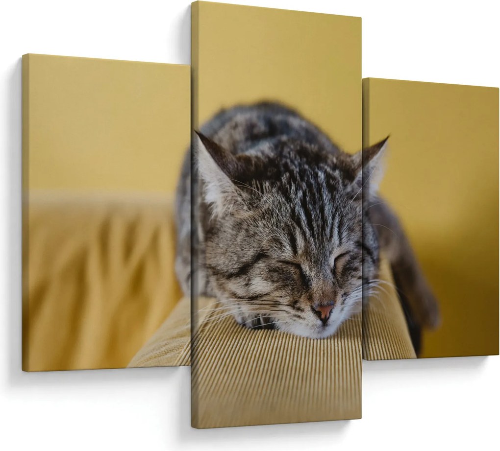 Tablou cu pisica pe fotoliu (90x60 cm)