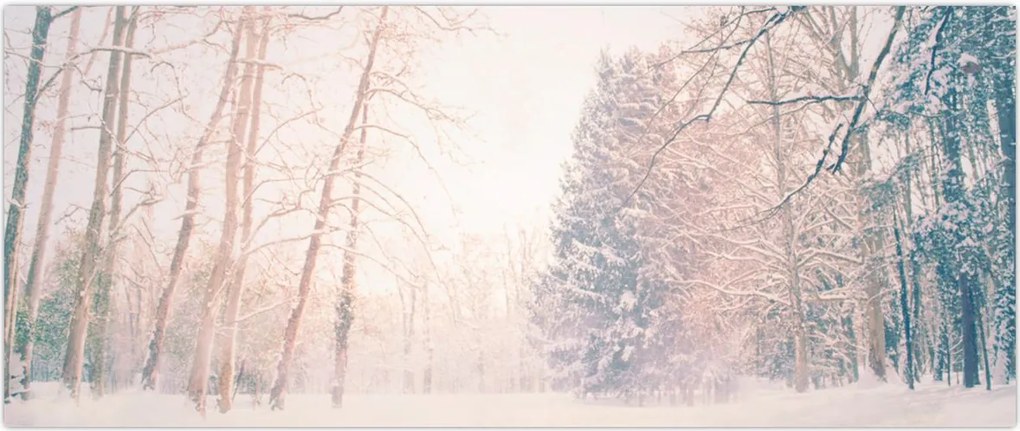Tablou - Priveliște pădure (120x50 cm)