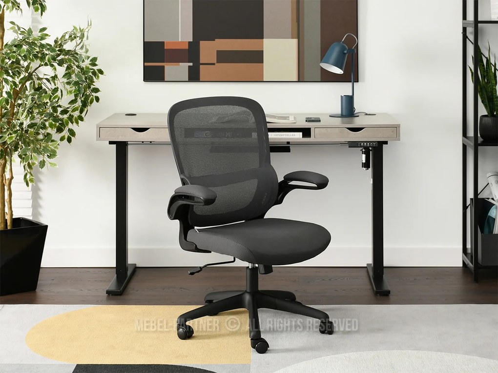 Scaun Bastet (grafit). Promo -17%. 1110488