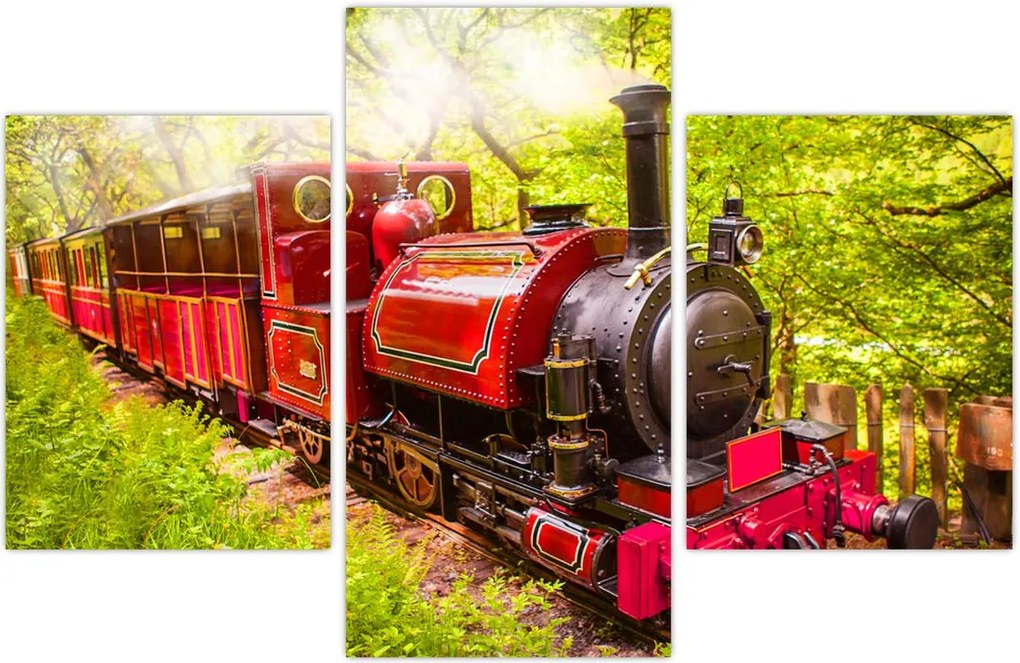 Tablou - Tren cu aburi (90x60 cm)