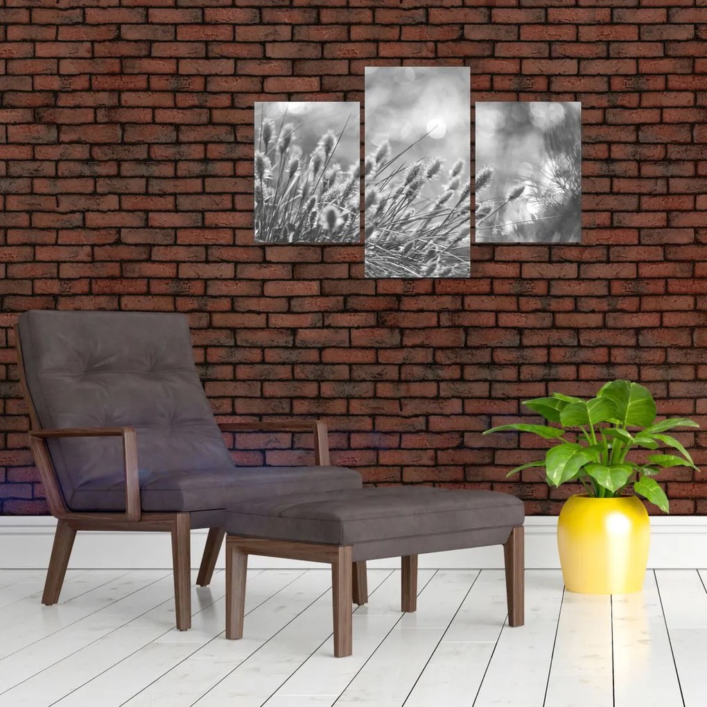 Tablou - Iarbă moale bej N⁰1 (90x60 cm)