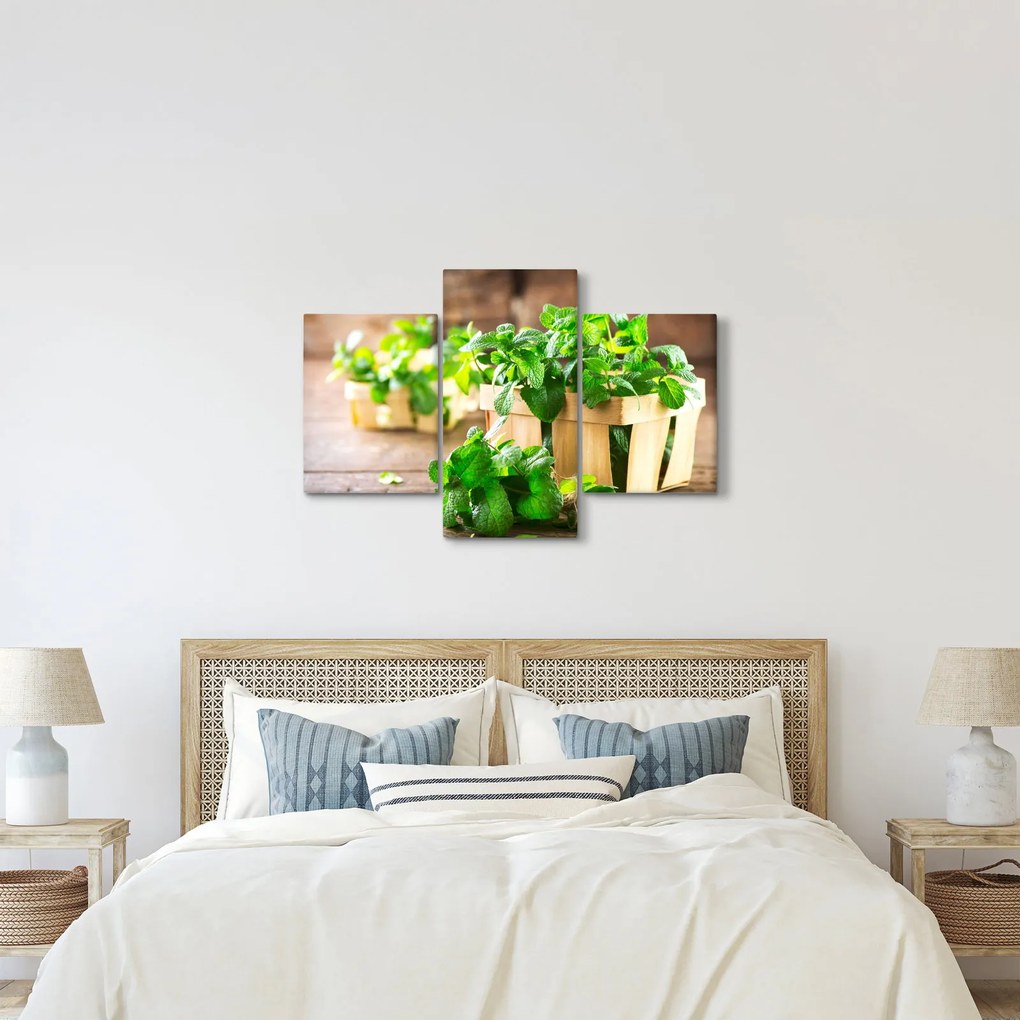 Tablou cu menta proaspătă (90x60 cm)