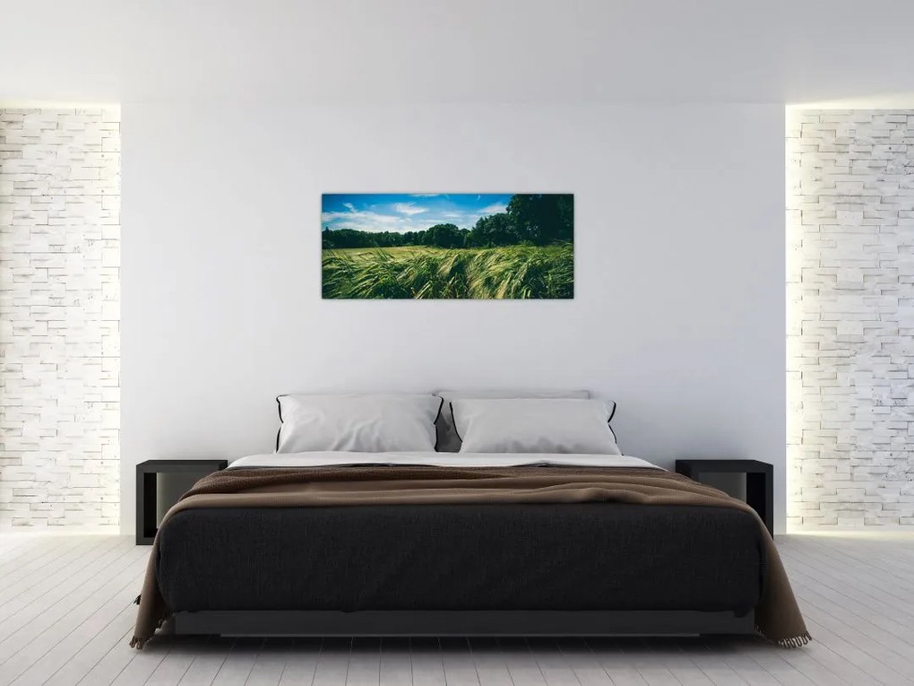 Tablou cu linca și pădure (120x50 cm)