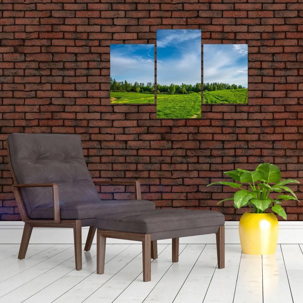 Tablou cu luncă (90x60 cm)