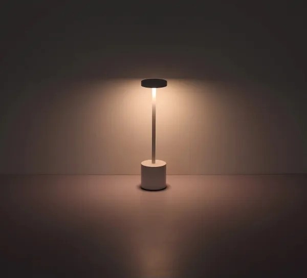 Globo 21019W - Lampă de birou LED reglabilă POLINA LED/1,2W/3,7V