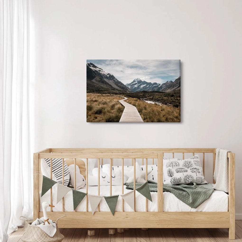Tablou - Poteca în valea muntelui Mt. Cook (90x60 cm)