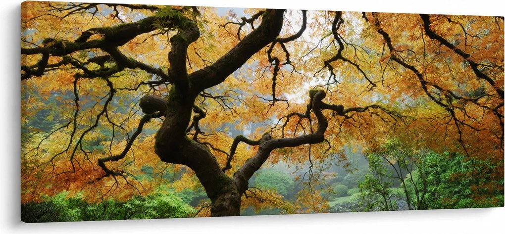 Tablou - Arțarul japonez galben, Portland, Oregon (120x50 cm)