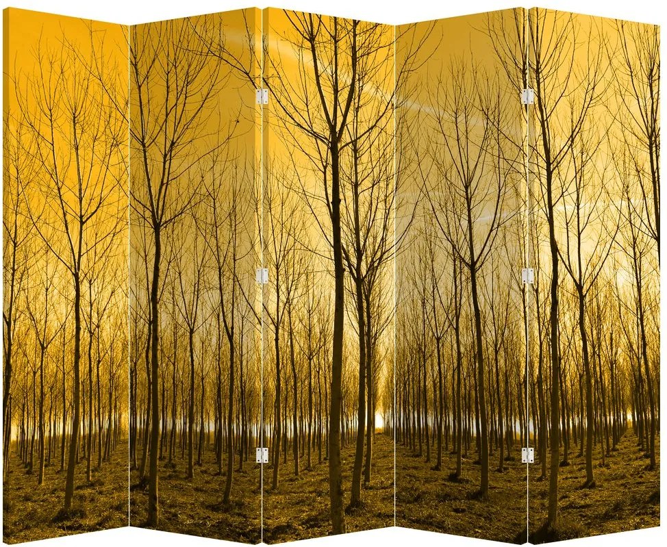 Paravan - Pădure în apus de soare (210x170 cm)