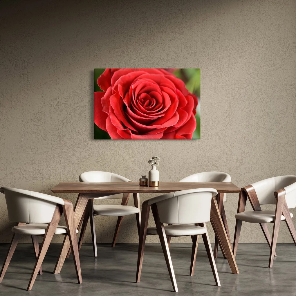 Tablou - Flori de trandafir (90x60 cm)