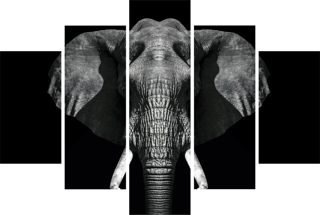 Tablou - Elefant pe fundal negru (150x105 cm)