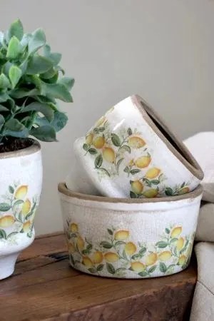 Tavă Limone Blossom cu lămâi și flori
