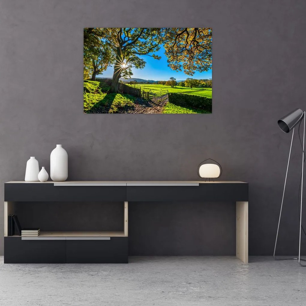 Tablou Privire la câmp (90x60 cm)