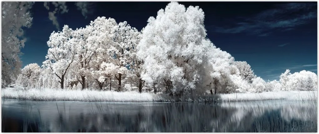 Tablou - Albă ca Zăpada Albă ca Zăpada Copaci (120x50 cm)