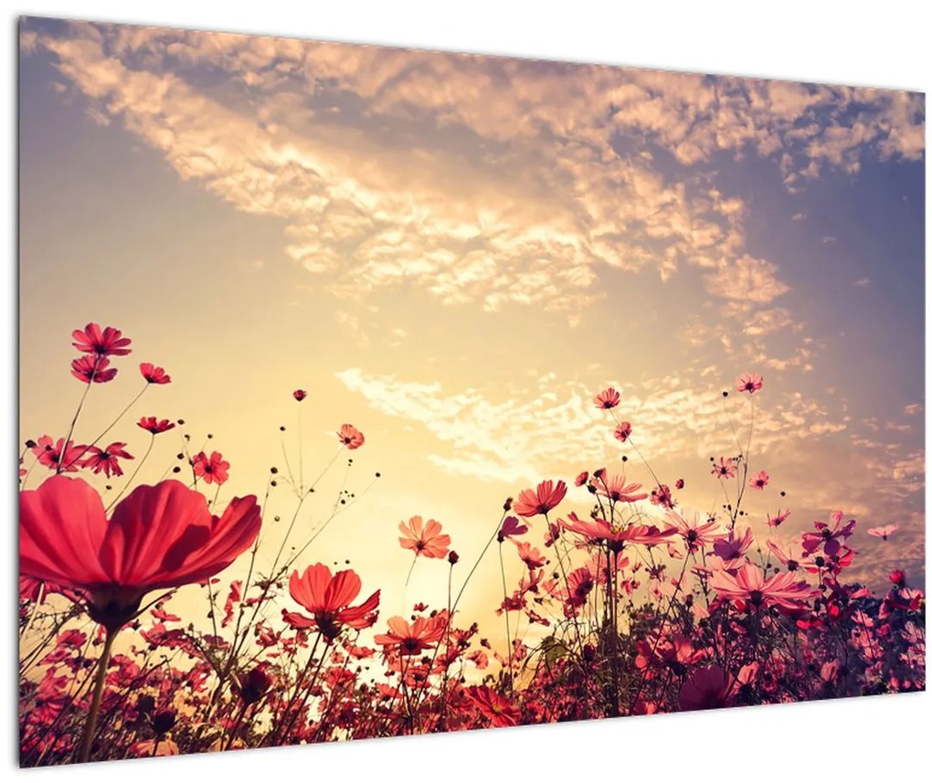 Tablou - Lunca cu flori (90x60 cm)