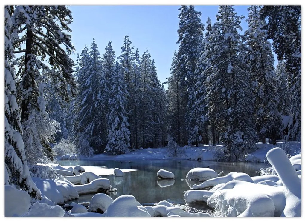 Tablou pădurii înzăpezite (70x50 cm)