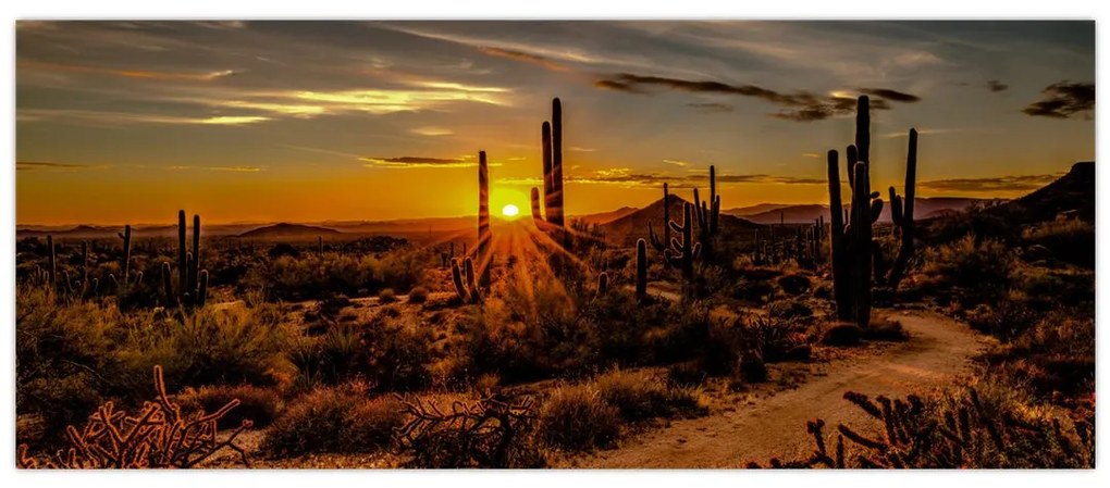 Tablou - Sfărșit de zi în deșertul Arizona (120x50 cm)