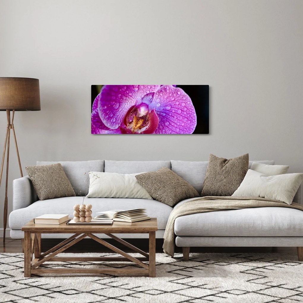 Tablou detailat cu floare de orhidee (120x50 cm)