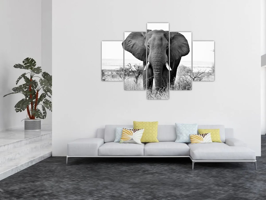 Tablou - Elefantul african II. (150x105 cm)