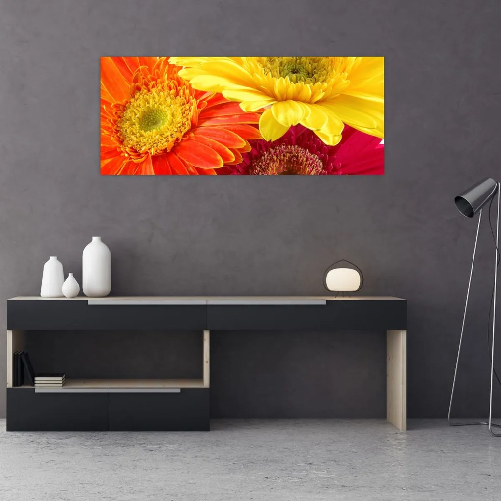 Tablou - Flori Gerbery (120x50 cm)