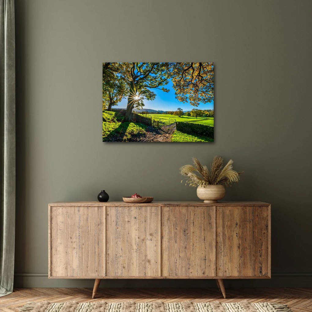Tablou Privire la câmp (70x50 cm)