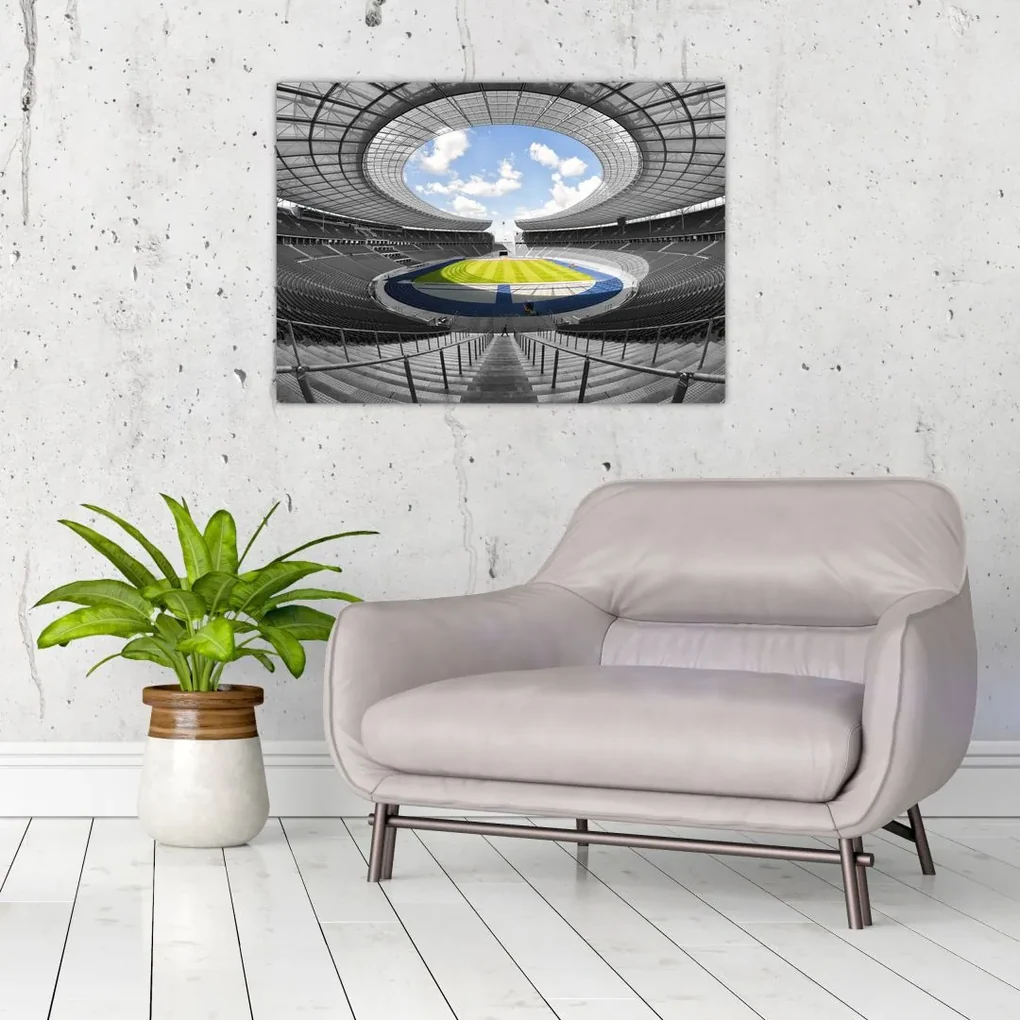 Tablou - stadionul de fodbal (70x50 cm), în 40 de alte dimensiuni noi