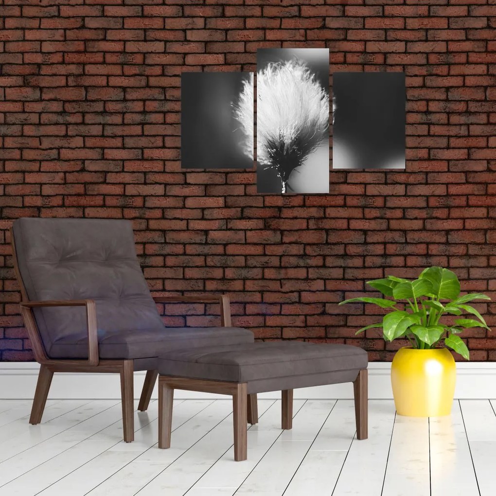 Tablou - Coțofană neagră și albă (90x60 cm)