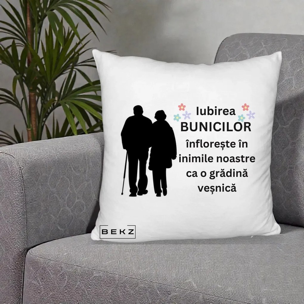 Cadou pentru Bunici - Perna Personalizata Bunicii Iubirea Infloreste Silueta Neagra Flori, 40x40 cm, Alb Pufos, Husa Detasabila, Perna Inclusa, BEKZ®