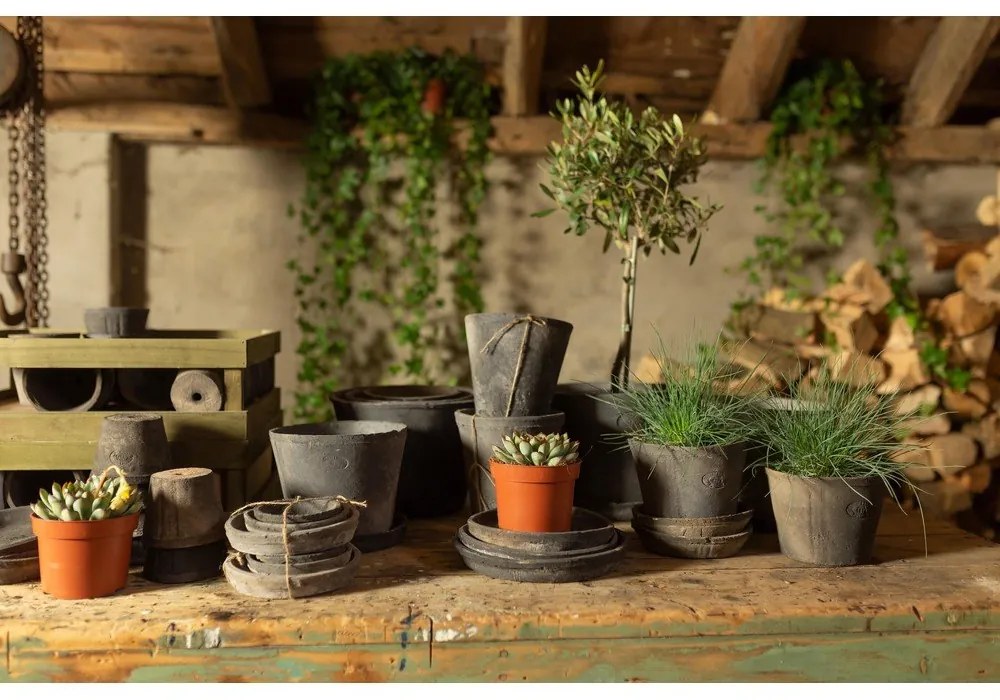 Farfurii de ghiveci 3 buc. din teracotă ø 10 cm – Esschert Design