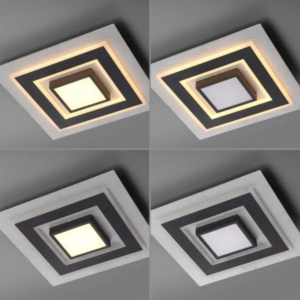 JUST LIGHT. 14439-21 - LED Plafonieră CICHIO LED/18,5W/230V + LED/9W neagră