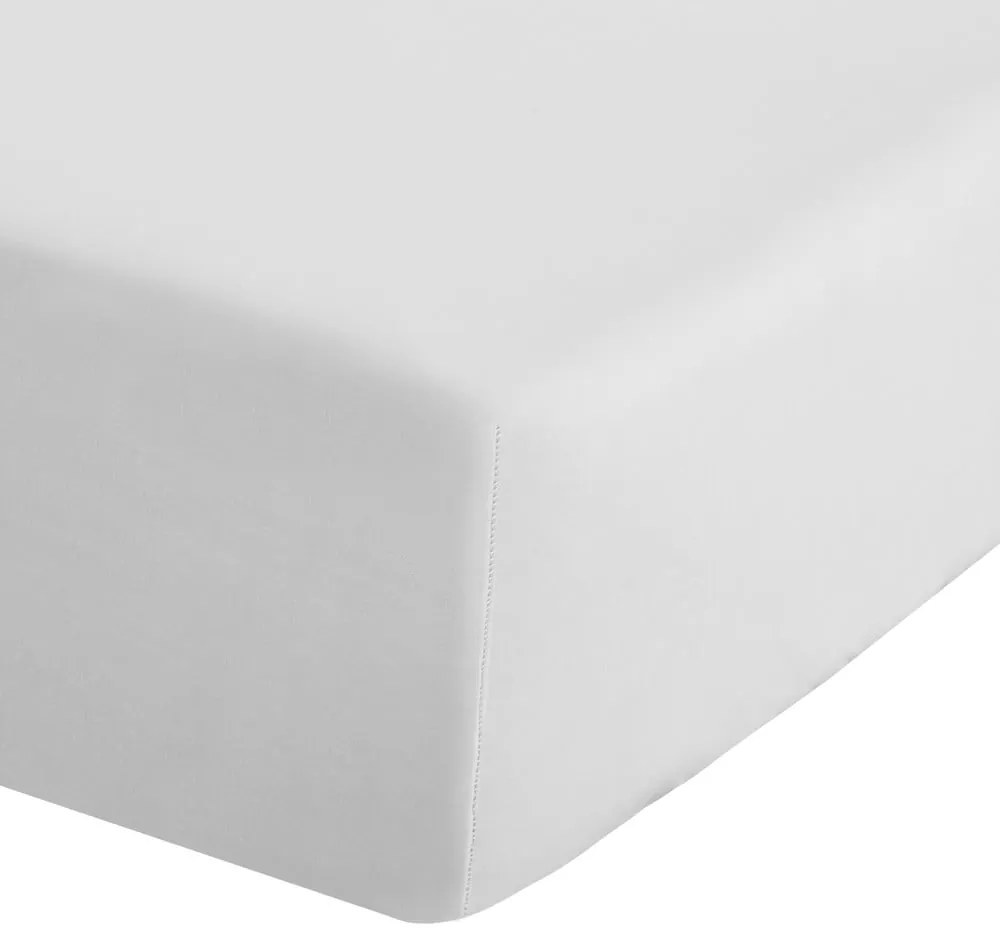 Cearceaf alb din bumbac percale cu elastic 150x200 cm Easy Iron Percale – Catherine Lansfield