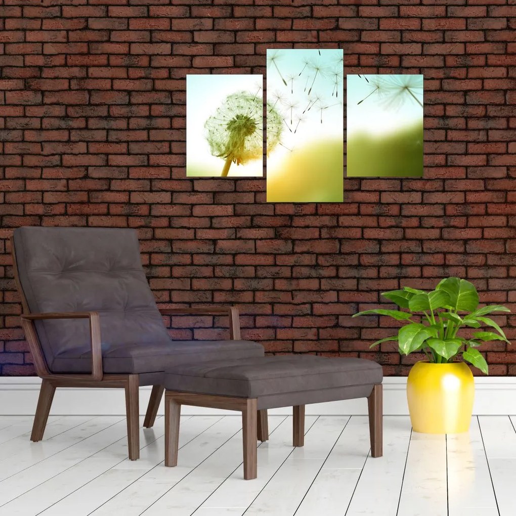 Tablou - Păpădia în vânt (90x60 cm)