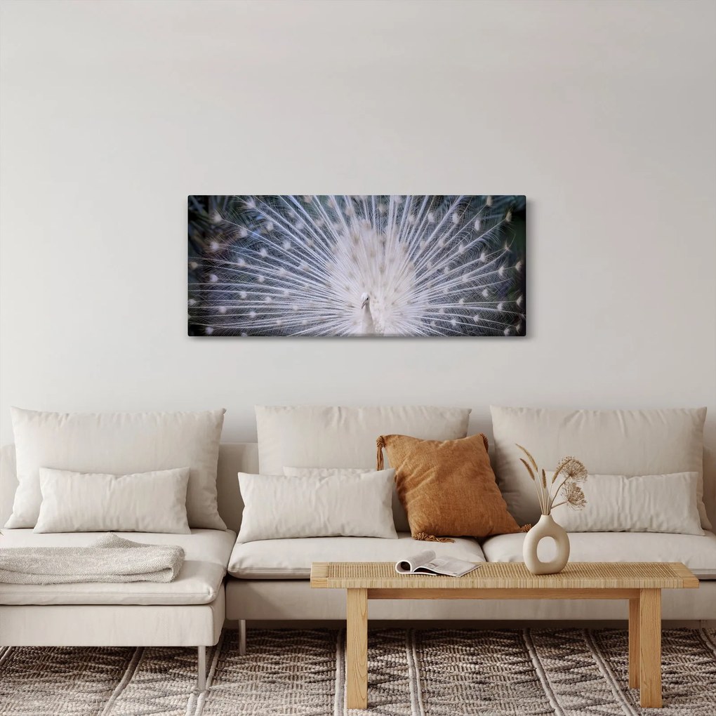 Tablou - Păun alb (120x50 cm)