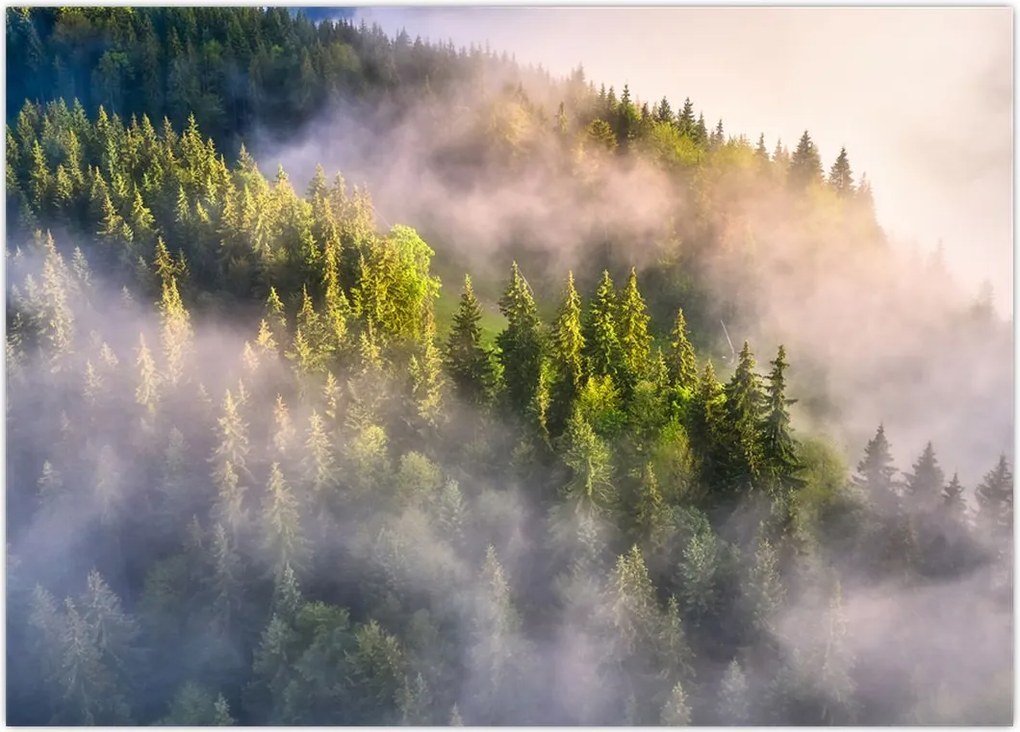 Tablou peisajului montan (70x50 cm)