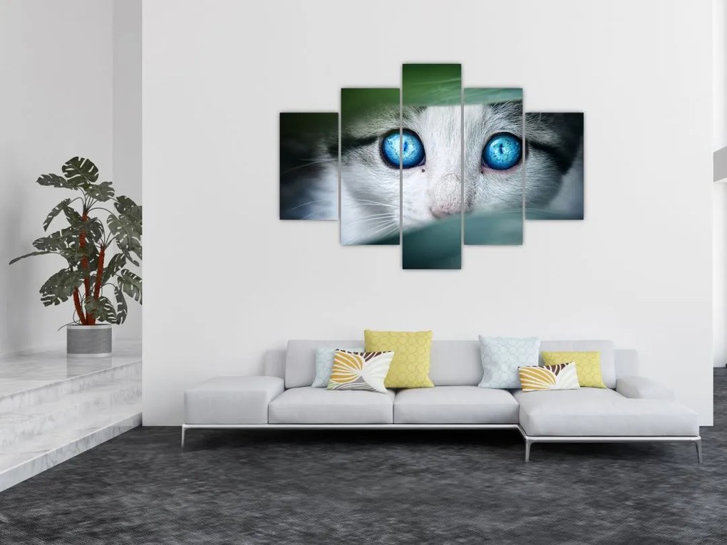 Tablou cu pisica (150x105 cm)