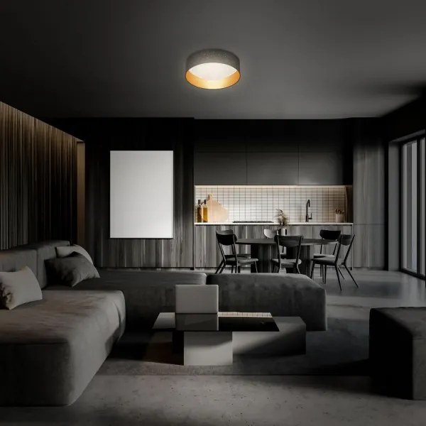 Plafonieră Briloner 3882-015 MAILA STARRY LED/18W/230V negru/auriu