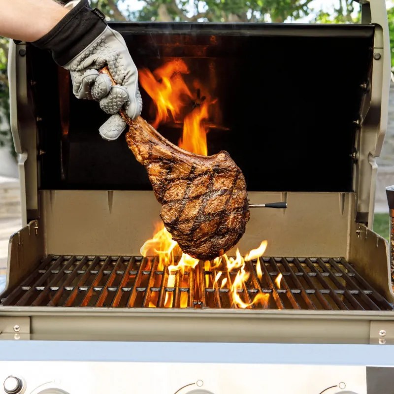 Termometru de bucatarie Ninja ProChef WP100EU, Bluetooth, Aplicatie mobila, Senzor de temperatura, Pana la 370°C, Negru/Argintiu