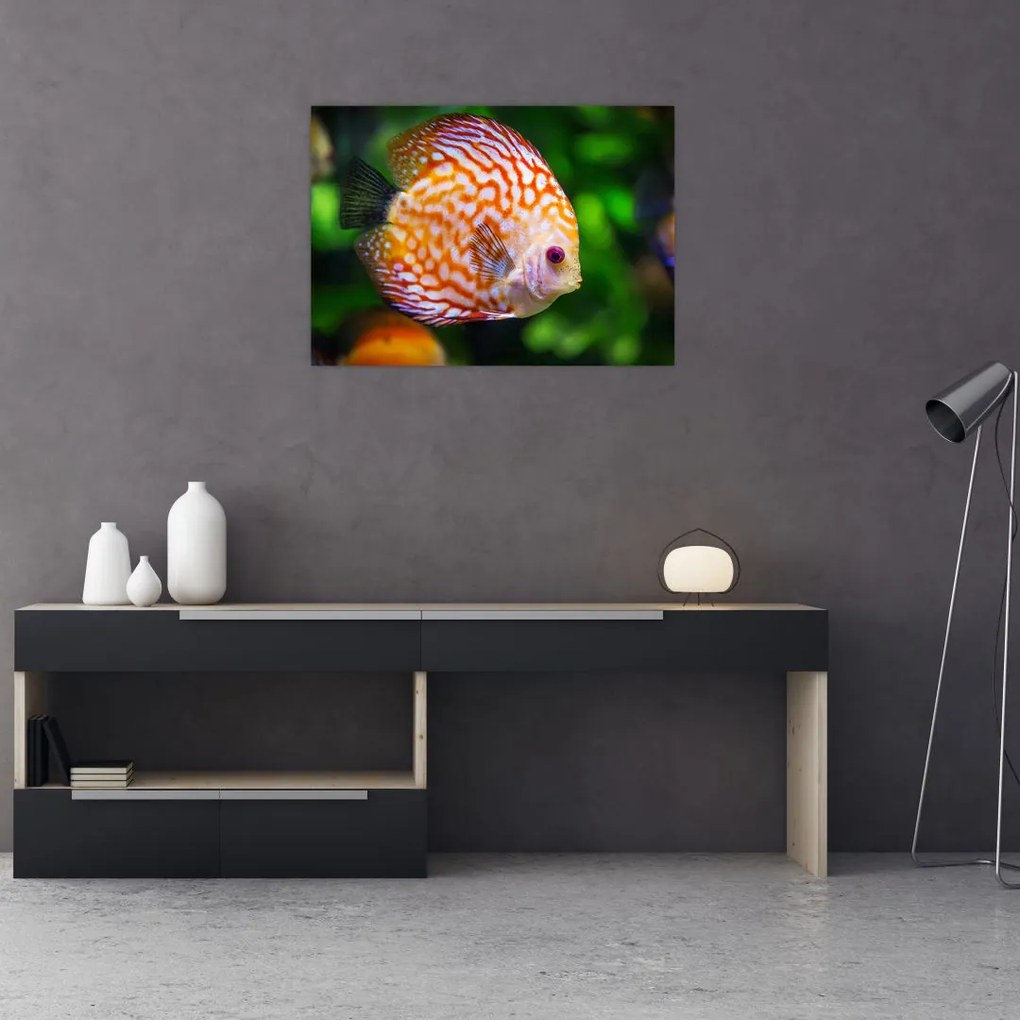 Tablou cu pește (70x50 cm), în 40 de alte dimensiuni noi